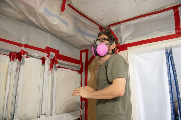 Best HVAC Mold Inspection and Cleaning  in Hollidaysburg, PA