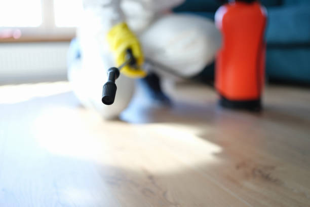 Best Real Estate Mold Inspection  in Hollidaysburg, PA
